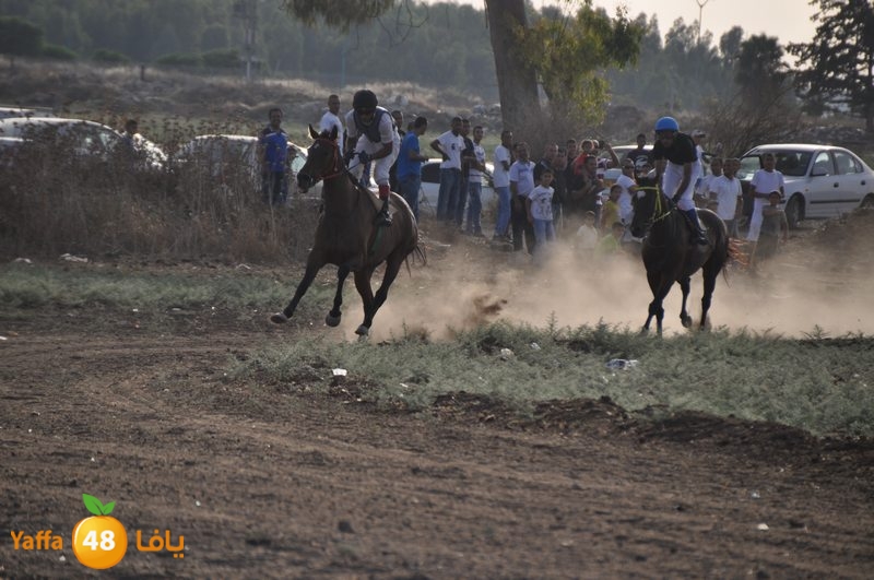 kheil sebaq (16).JPG